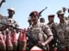Sudan Forces Claim Capture of Strategic Military Area in Blue Nile State