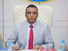 Somalia deputy prime minister deported from Kenya over passport allegations