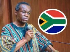 PLO Lumumba Urges African Governments to Act Over Treatment of Africans in South Africa