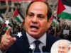 Egypt urges urgent international action over Gaza crisis