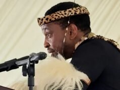 Zulu King condemns anti-foreigner sentiment, calls Zimbabweans ‘My Children’