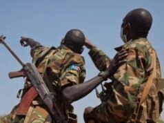 Five SSPDF soldierskilled in Upper Nile attack, authorities say