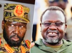 South Sudan peace monitor calls for immediate ceasefire after deadly Jonglei clashes