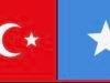 Türkiye Approves $30 Million Grant for Somalia to Support Budget and Institution Building