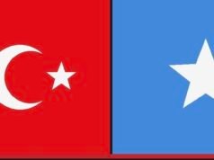 Türkiye Approves $30 Million Grant for Somalia to Support Budget and Institution Building