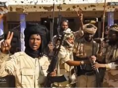 European Parliament Calls for RSF to Be Designated as Terrorist Organization