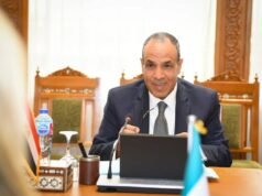 Egypt FM: No Country Can Impose Its Will on the Region