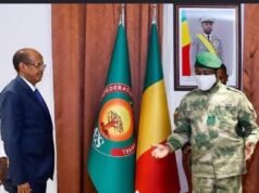 African Union Seeks to Rebuild Relations With Sahel Alliance States