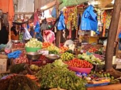 Somali Youth Call for Government Action as Economic Concerns Grow in Somaliland and Puntland
