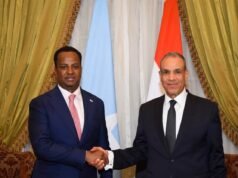 Somali Foreign Minister Holds Talks with Egyptian Counterpart in Cairo