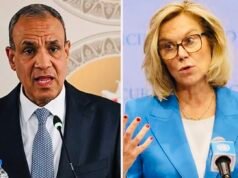 Egypt, Gaza Council Discuss Ceasefire and Aid Efforts