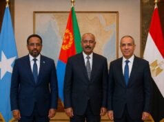 Egypt, Eritrea and Somalia Hold High-Level Talks on Horn of Africa Security