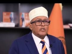 U.S. Visa Denial Raises Questions Over Somaliland Leader