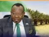 Somali Government Announces Plan to Plant Date Palms Across 300,000 Hectares Nationwide