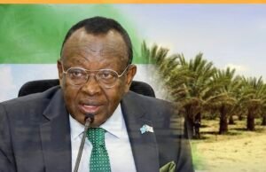 Somali Government Announces Plan to Plant Date Palms Across 300,000 Hectares Nationwide