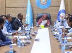Somalia’s Upper House Reviews Draft Law to Establish Somali Mining Authority