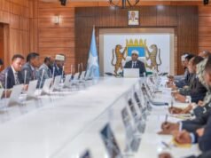 Somalia Reports 3.1% Economic Growth as Government Pushes Financial Reforms