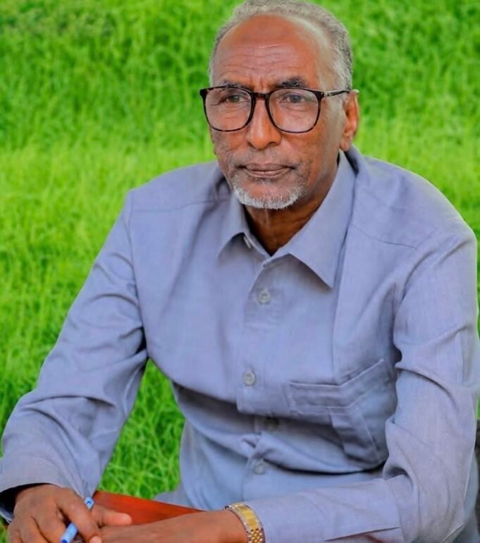 Somaliland Interior Minister Abdalle Mohamed Arab Desires to Resign