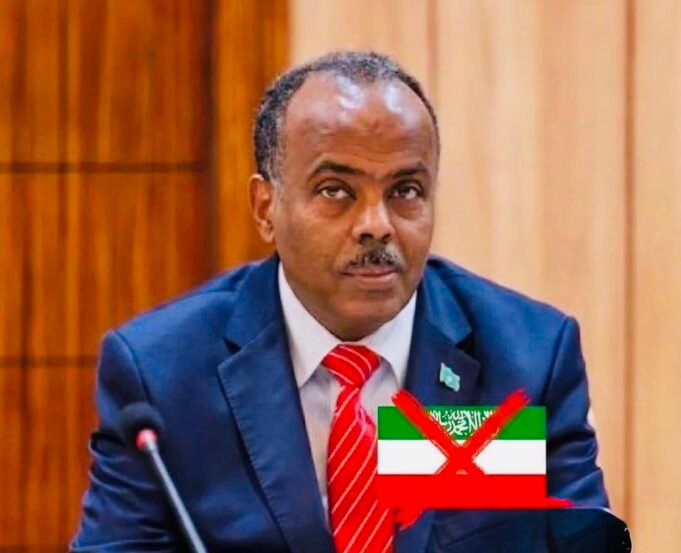 Somalia Warns Against Further Somaliland Recognition