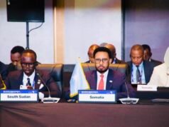 Somalia’s Finance Minister Addresses Korea-Africa Economic Forum in Seoul