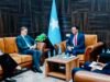 EU Appoints New Ambassador to Somalia