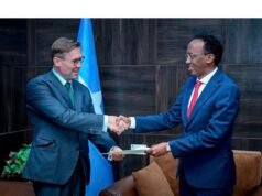 EU Appoints New Ambassador to Somalia