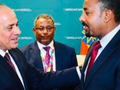 Egypt Warns Ethiopia Over GERD, Says All Options Remain Open