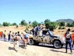 Ethiopian Army Colonel Reportedly Captured by Fano Forces