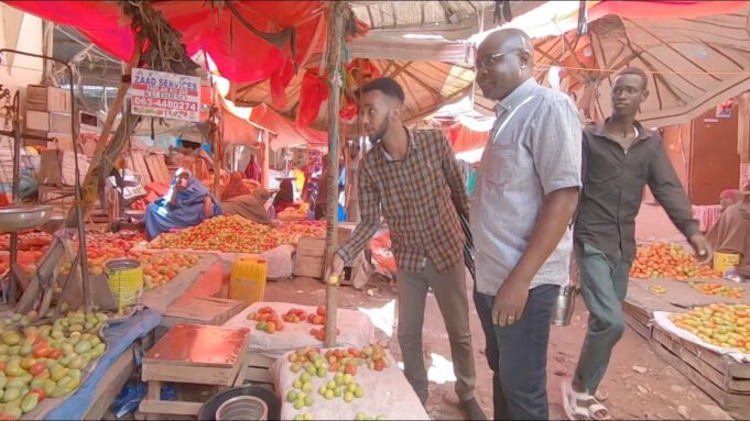 “Recognition Is Not the Priority” — Somaliland Leader Faces Criticism