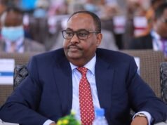 Puntland President Deni Addresses Flights to Mogadishu and Federal Identification Requirements