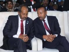 Somalia and Ethiopia Face Regional Pressure Amid Calls for Cooperation