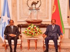 Hassan Sheikh and Afwerki: Is a New Regional Alignment Emerging Over Ethiopia’s Red Sea Access?