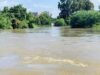 Shabelle River Rises Above High Flood-Risk Threshold, Raising Concerns in Central Somalia