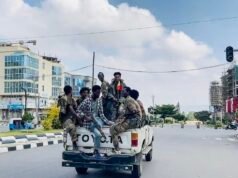 Ethiopia–Eritrea Tensions Escalate as Fighting Intensifies in Tigray, Raising Fears of Wider War
